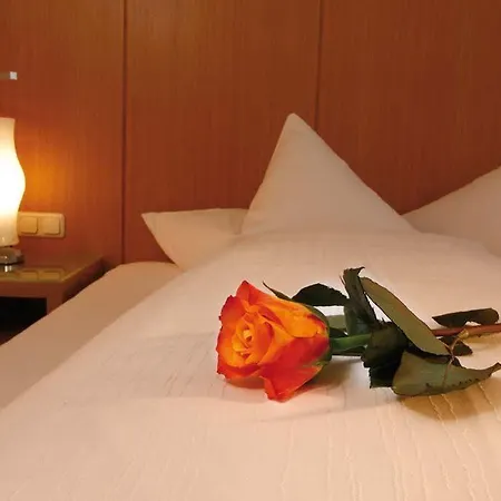 Hotel Zentrum 4*